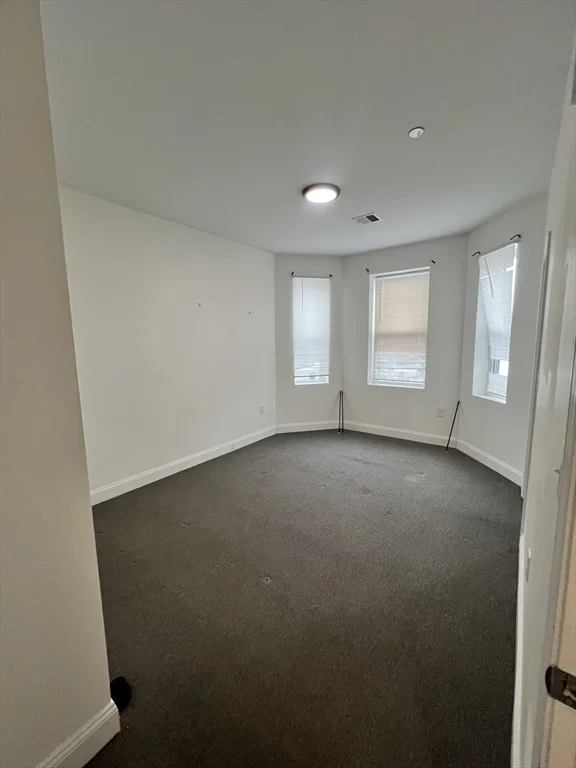 2 bed, 2 bath apartment for rent at 123 Intervale St Unit 1, Dorchester — photo 11 of 13