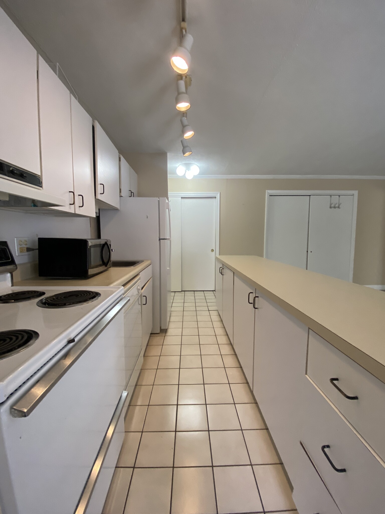 1 bed, 1 bath apartment for rent at 123 Sewall Ave Unit 1A, Coolidge Corner — photo 3 of 20