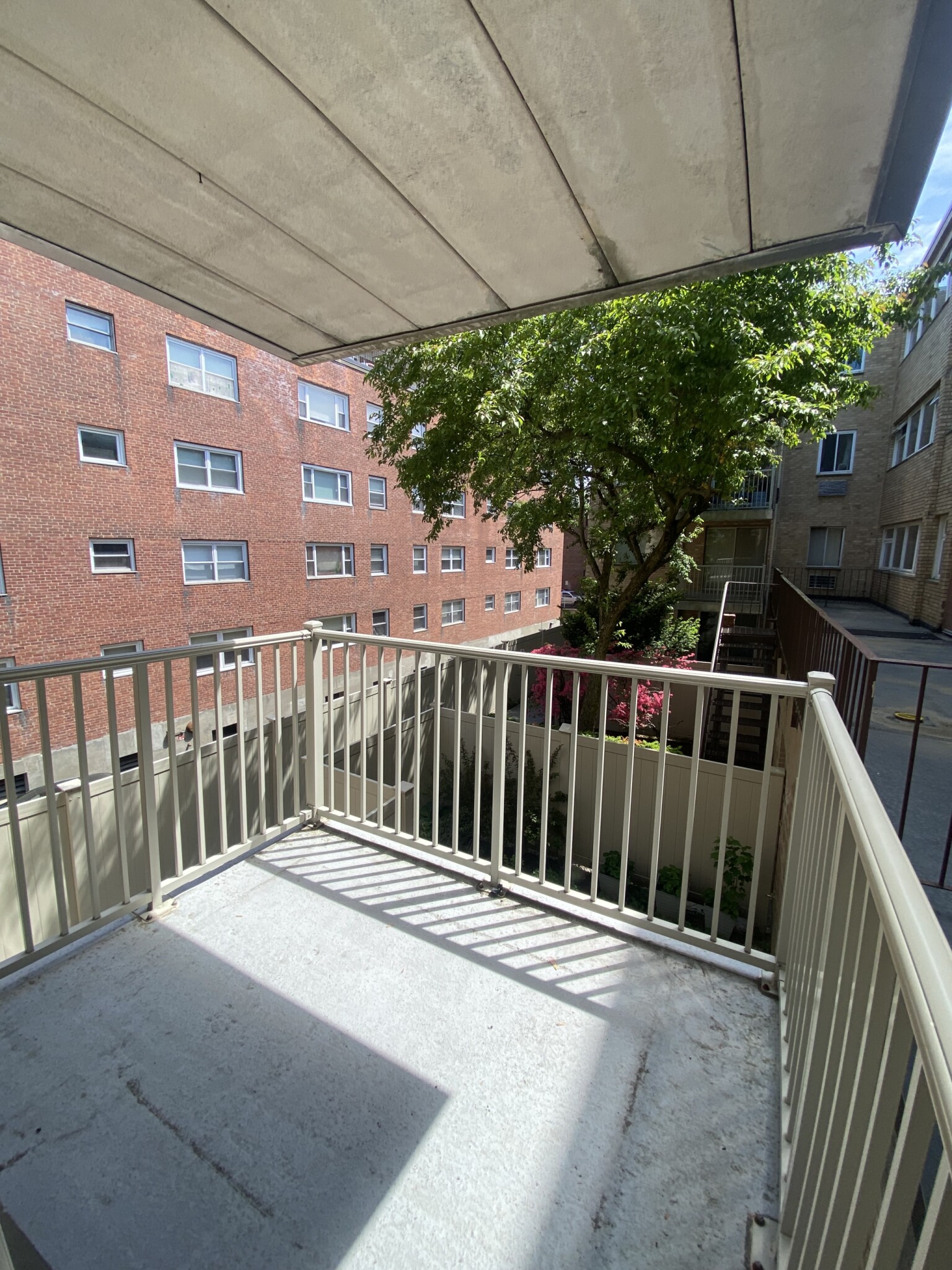 1 bed, 1 bath apartment for rent at 123 Sewall Ave Unit 1A, Coolidge Corner — photo 13 of 20