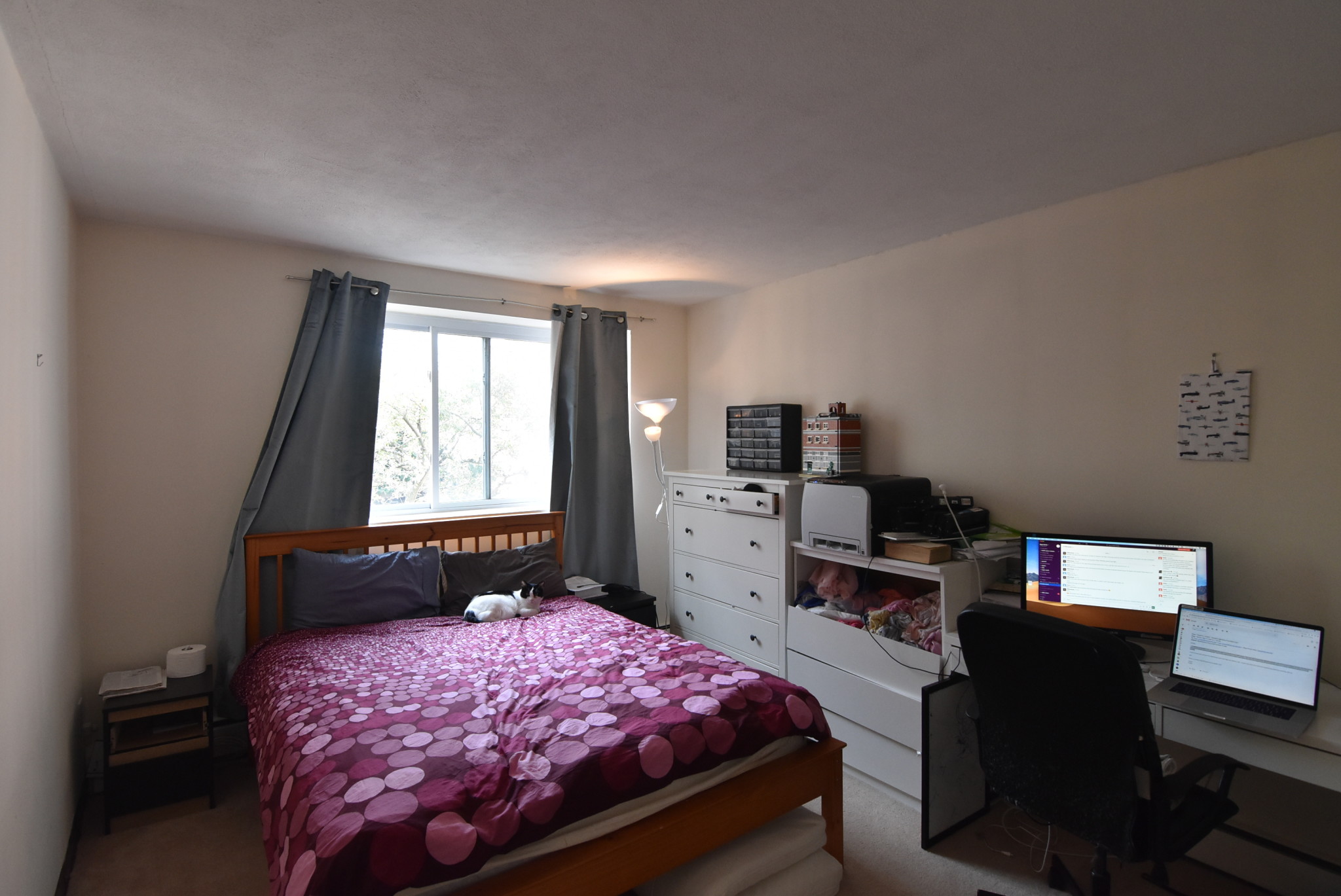 1 bed, 1 bath apartment for rent at 123 Sewall Ave Unit 2L, Coolidge Corner — photo 7 of 8
