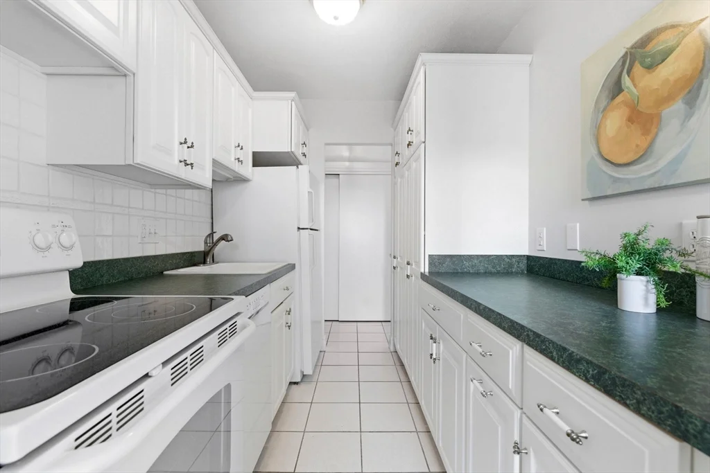 1 bed, 1 bath apartment for rent at 123 Sewall Ave Unit 3A, Coolidge Corner — photo 10 of 30