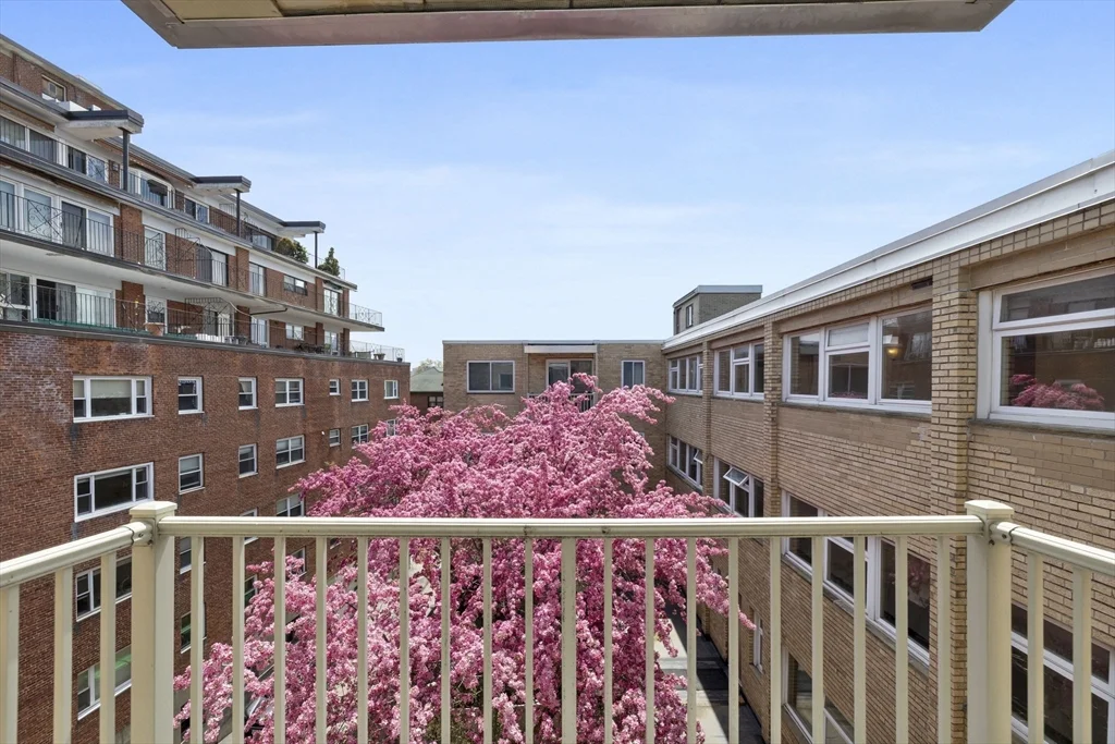 1 bed, 1 bath apartment for rent at 123 Sewall Ave Unit 3A, Coolidge Corner — photo 23 of 30