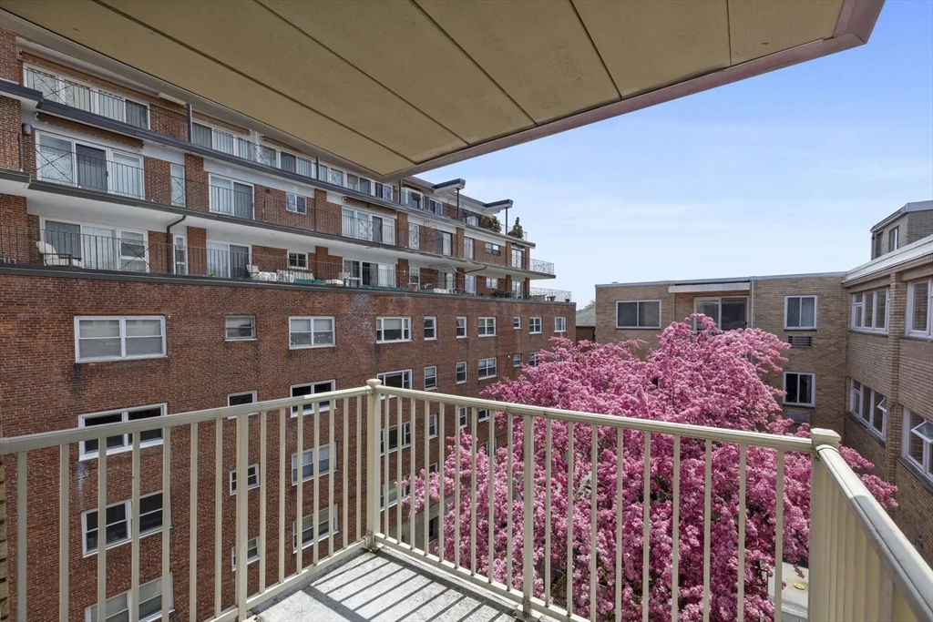 1 bed, 1 bath apartment for rent at 123 Sewall Ave Unit 3A, Coolidge Corner — photo 21 of 30