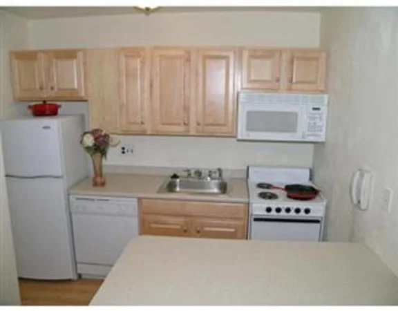 2 bed, 1 bath apartment for rent at 123 Sewall Ave Unit 3J, Coolidge Corner — photo 6 of 11