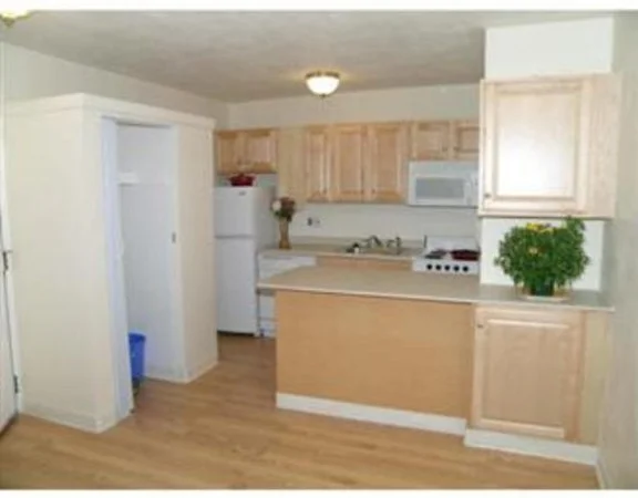 2 bed, 1 bath apartment for rent at 123 Sewall Ave Unit 3J, Coolidge Corner — photo 7 of 11
