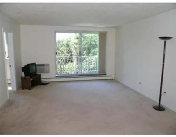 2 bed, 1 bath apartment for rent at 123 Sewall Ave Unit 3J, Coolidge Corner — photo 5 of 11