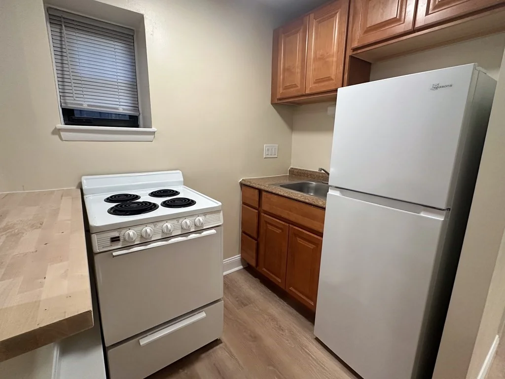 Studio bed, 1 bath apartment for rent at 1238 Commonwealth Ave Unit 12, Allston — photo 4 of 5