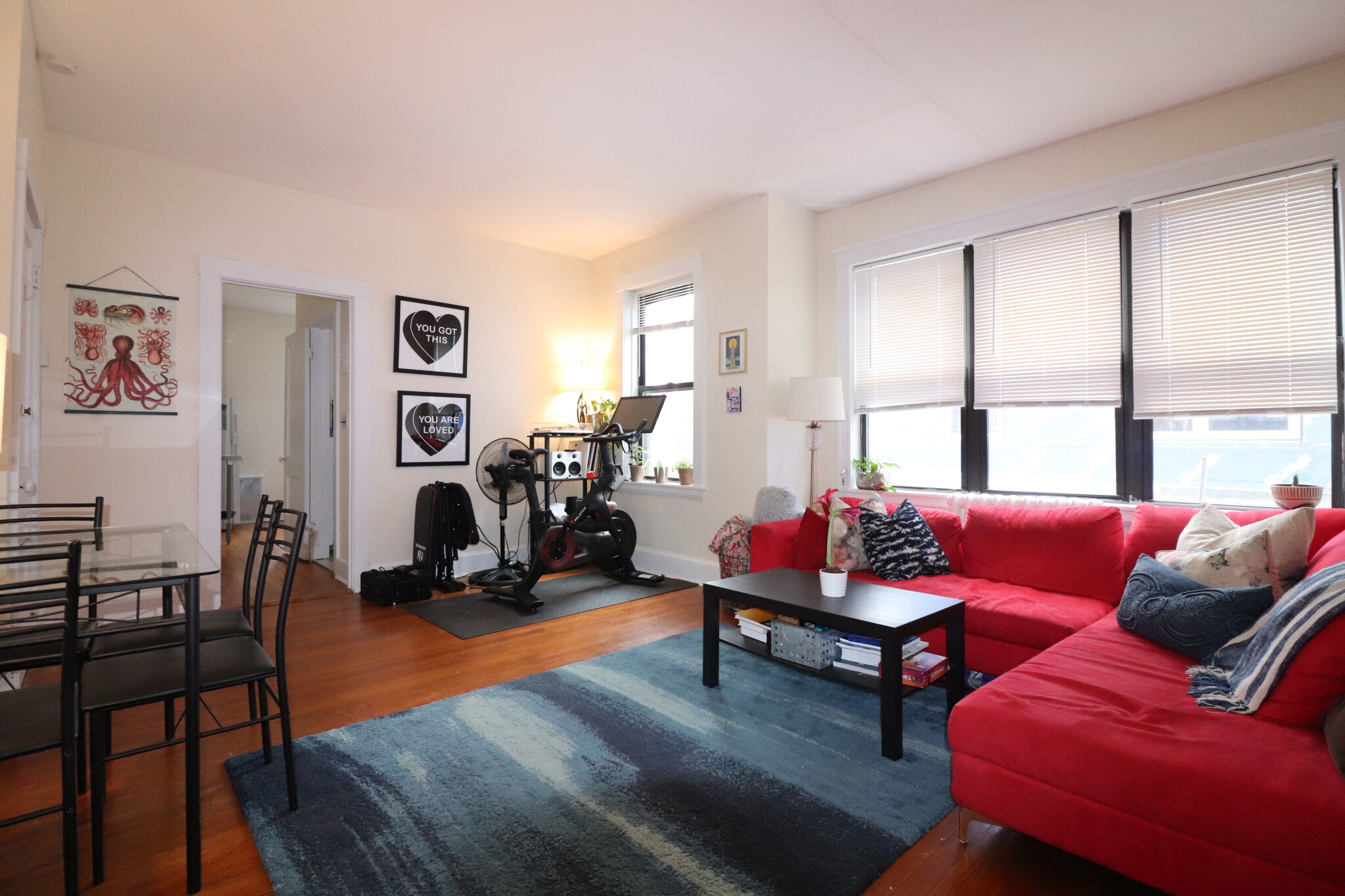 1 bed, 1 bath apartment for rent at 124 Babcock St Unit 6A, North Brookline