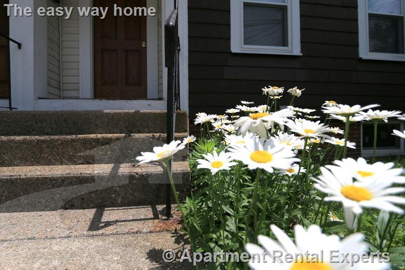 1 bed, 1 bath apartment for rent at 124 Pine St Unit 1, Central Square — photo 14 of 18