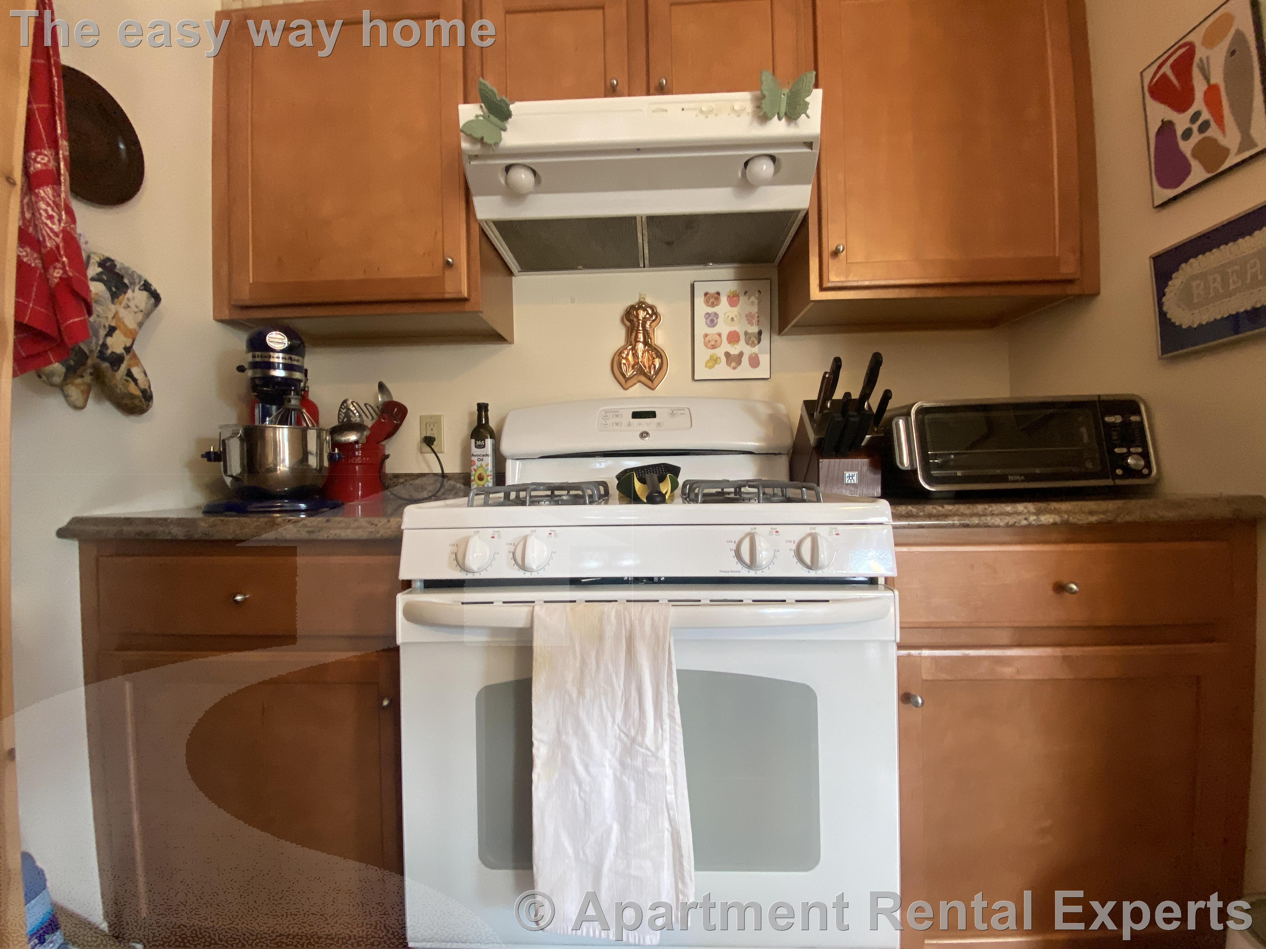 2 bed, 2 bath apartment for rent at 124 Pine St Unit 2, Central Square — photo 4 of 18