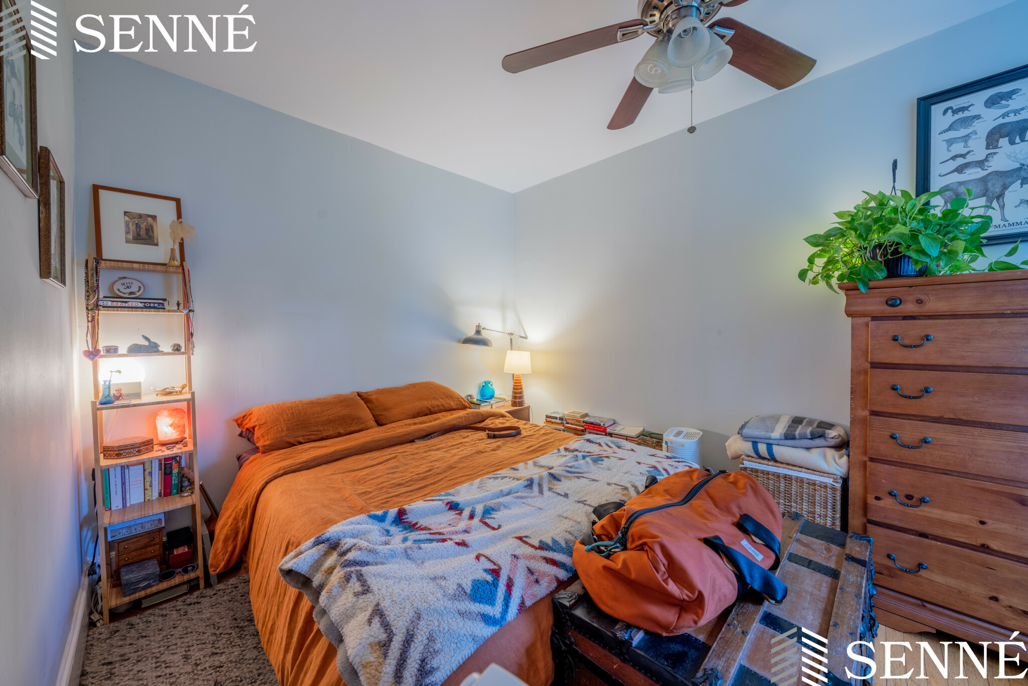 1 bed, 1 bath apartment for rent at 124 Summer St Unit A, Ward Two — photo 7 of 7