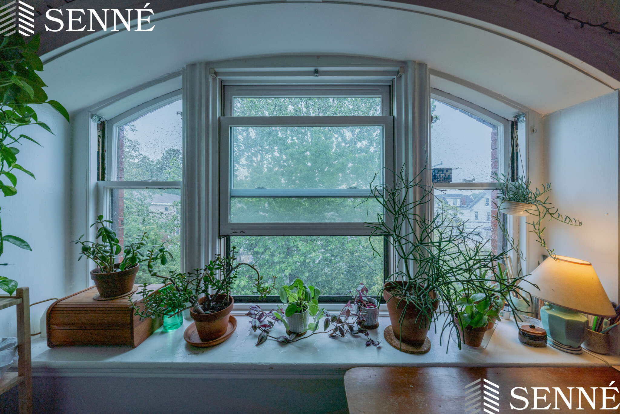 1 bed, 1 bath apartment for rent at 124 Summer St Unit A, Ward Two — photo 6 of 7