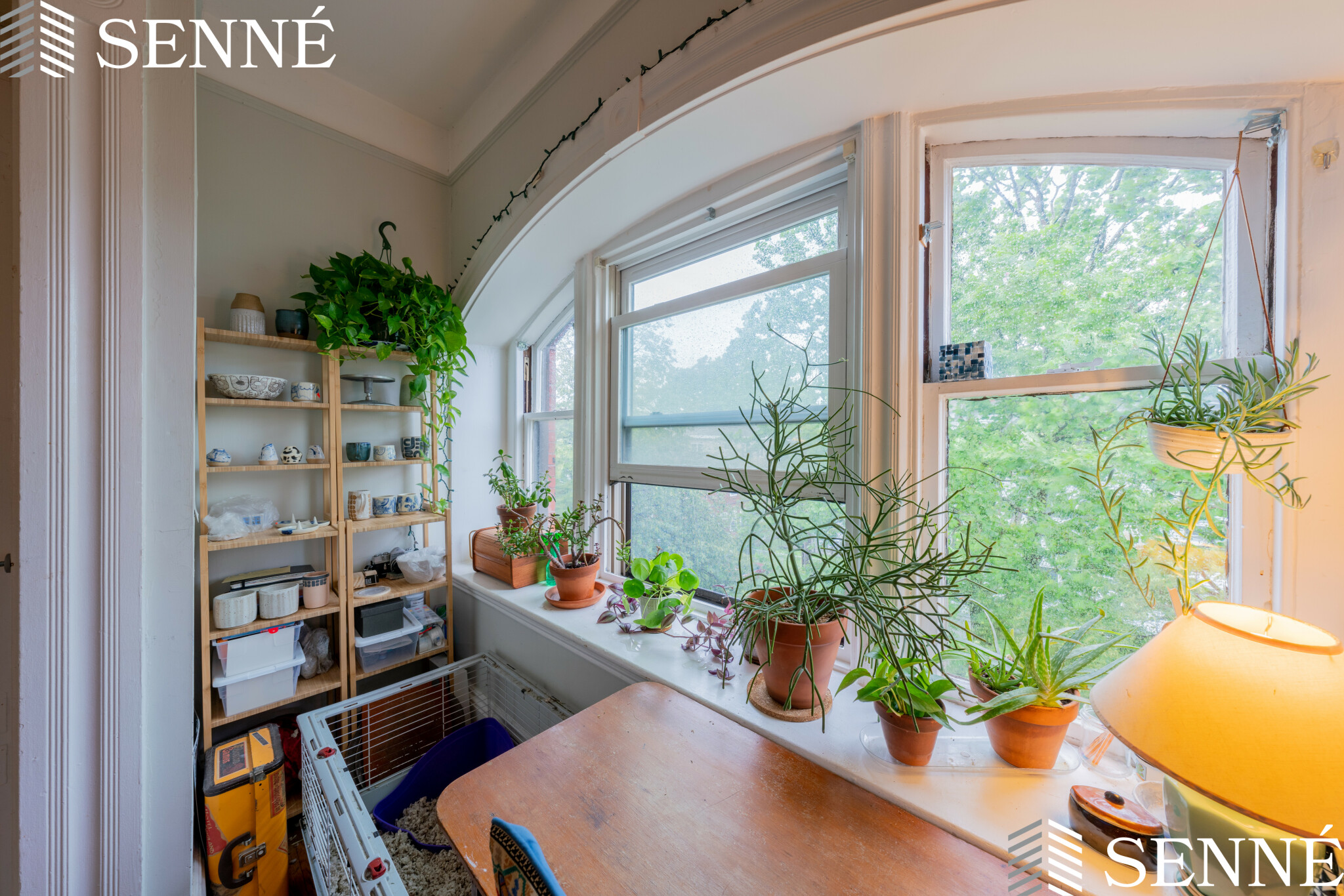 1 bed, 1 bath apartment for rent at 124 Summer St Unit A, Ward Two — photo 4 of 7