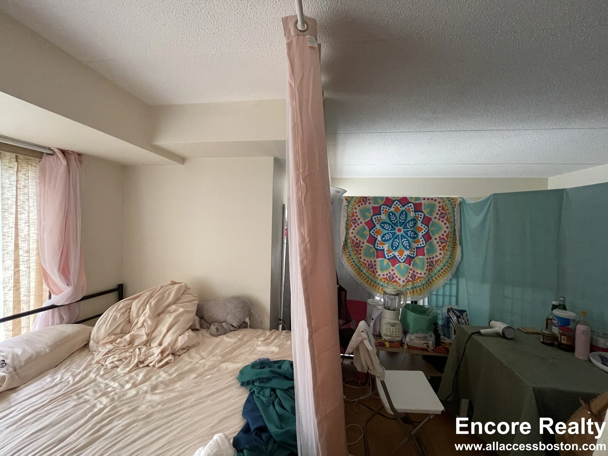 2 bed, 2 bath apartment for rent at 1243 Beacon St Unit 2C, Coolidge Corner — photo 8 of 31