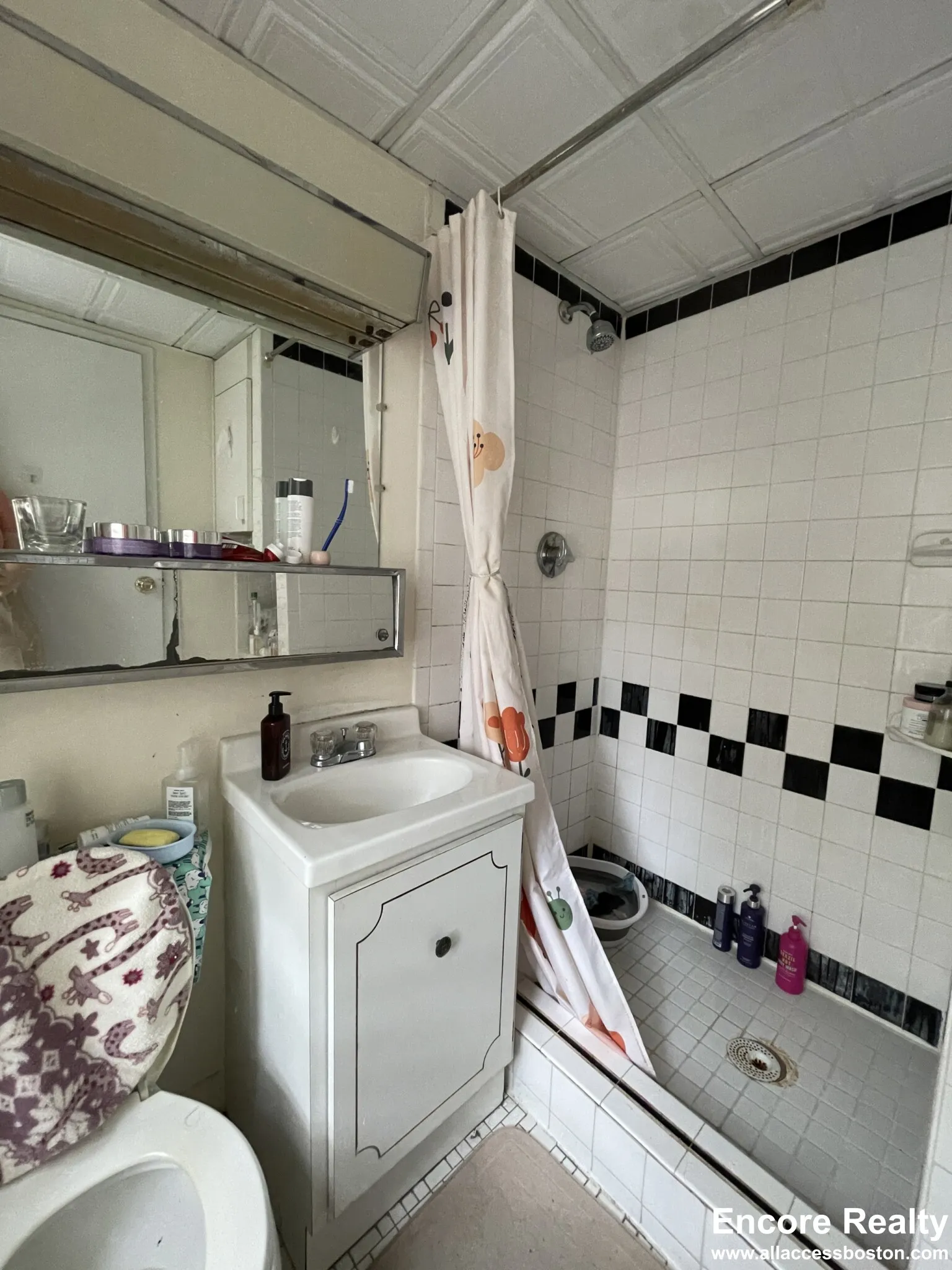 2 bed, 2 bath apartment for rent at 1243 Beacon St Unit 2C, Coolidge Corner — photo 18 of 31
