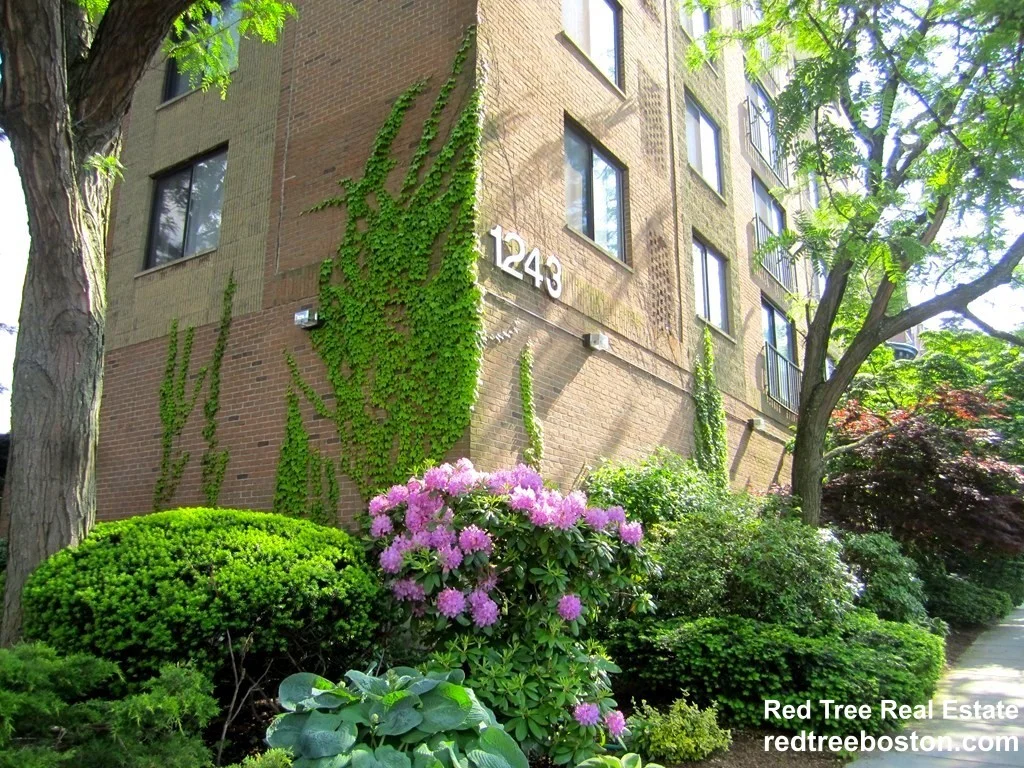 1 bed, 1 bath apartment for rent at 1243 Beacon St Unit 2D, Coolidge Corner — photo 15 of 15