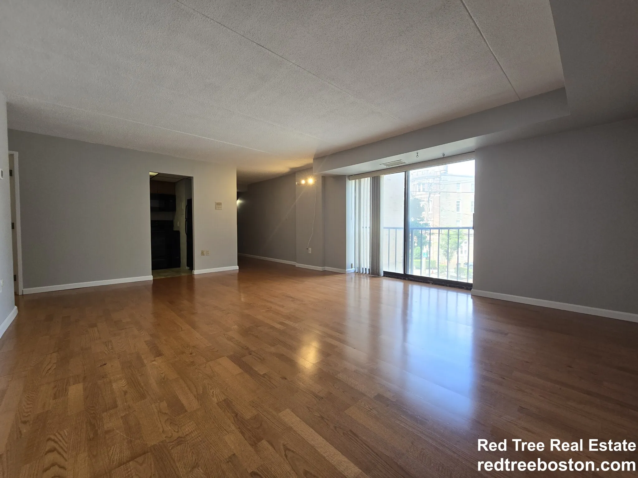 1 bed, 1 bath apartment for rent at 1243 Beacon St Unit 2D, Coolidge Corner — photo 2 of 15
