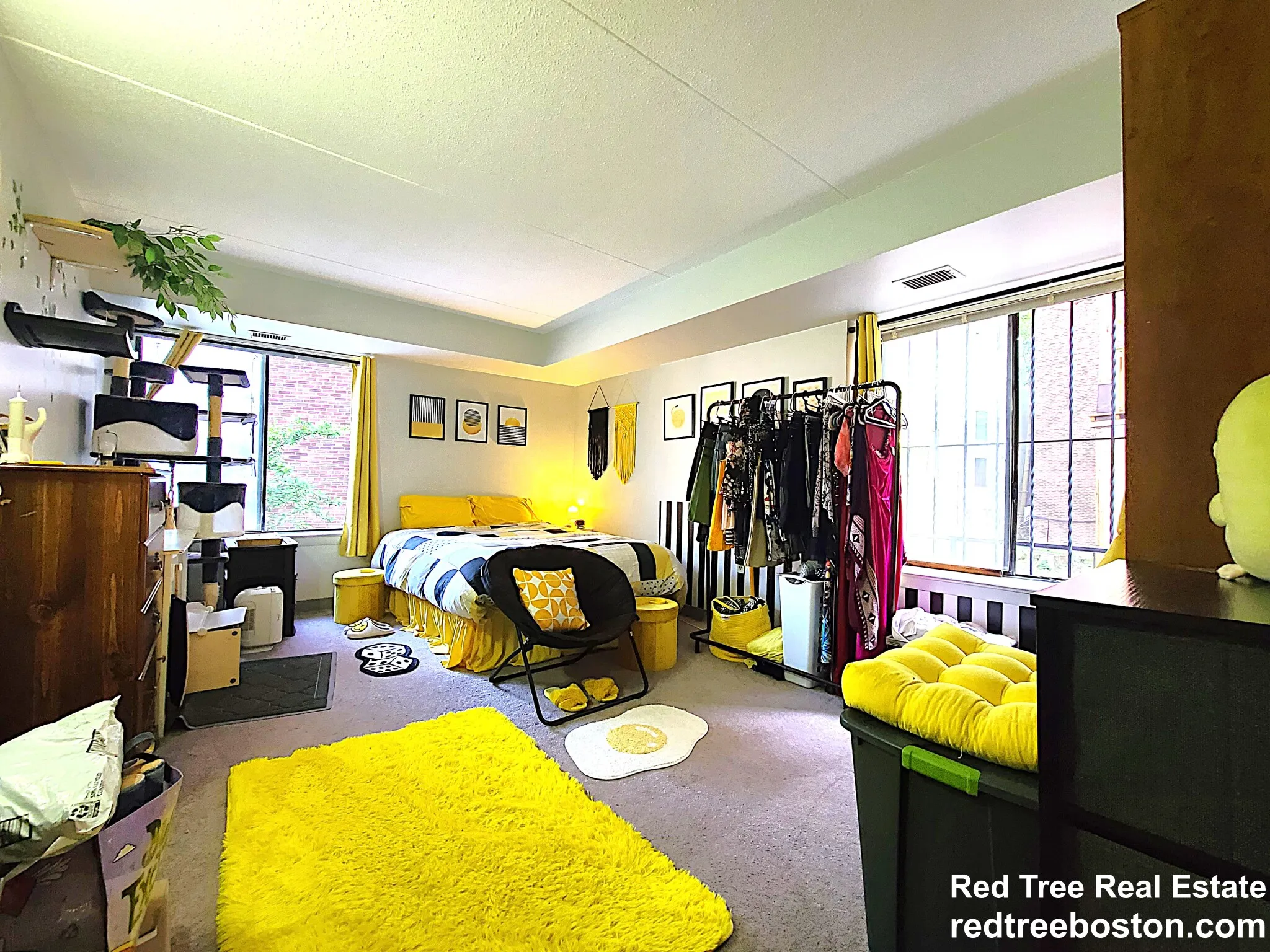 1 bed, 1 bath apartment for rent at 1243 Beacon St Unit 2D, Coolidge Corner — photo 10 of 15