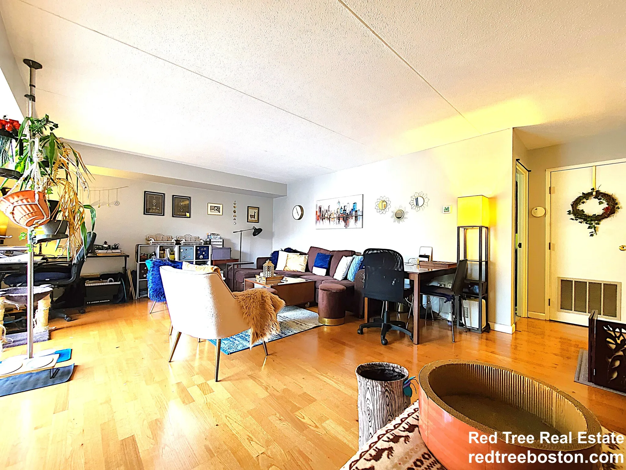 1 bed, 1 bath apartment for rent at 1243 Beacon St Unit 2D, Coolidge Corner — photo 9 of 15
