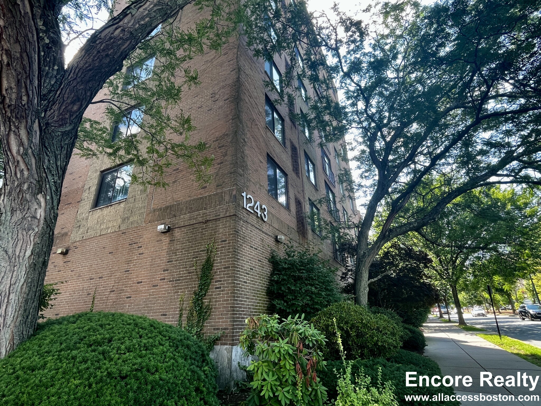 2 bed, 2 bath apartment for rent at 1243 Beacon St Unit 8B, Coolidge Corner — photo 19 of 19
