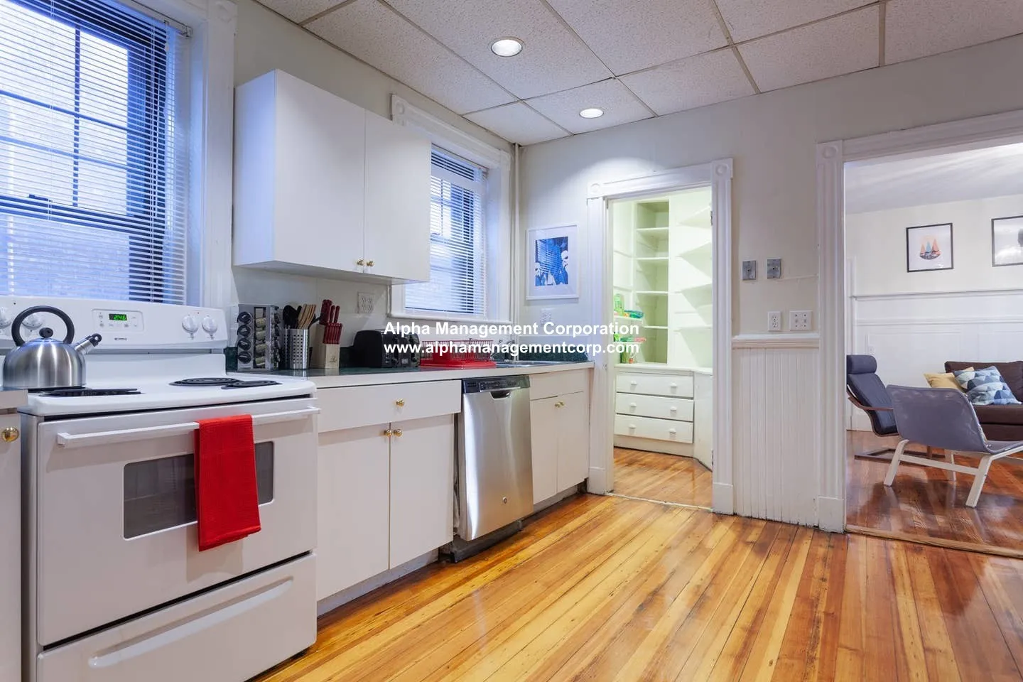 5 bed, 2 bath apartment for rent at 1247 Beacon St Unit 3, Coolidge Corner — photo 3 of 12