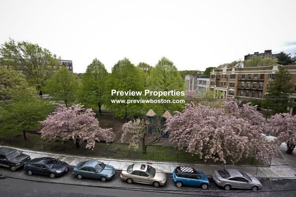 1 bed, 1 bath apartment for rent at 125 Chiswick Rd Unit 207P, Brighton — photo 16 of 16