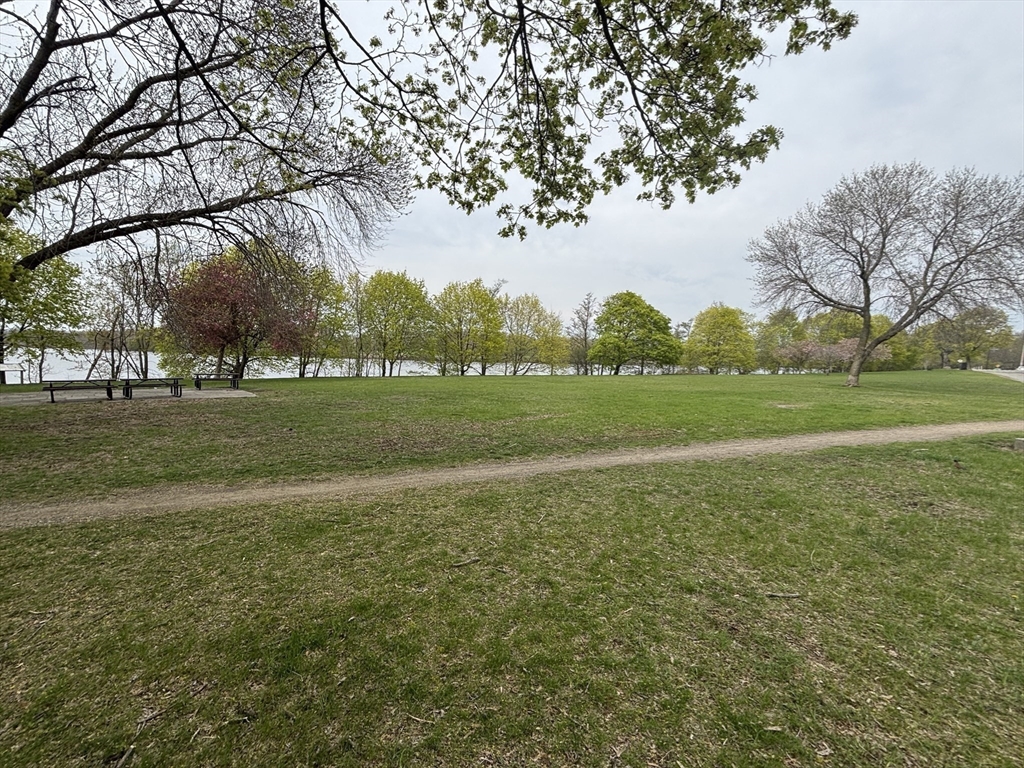 2 bed, 1 bath apartment for rent at 125 Governor Winthrop Unit 2A, Ten Hills — photo 28 of 29