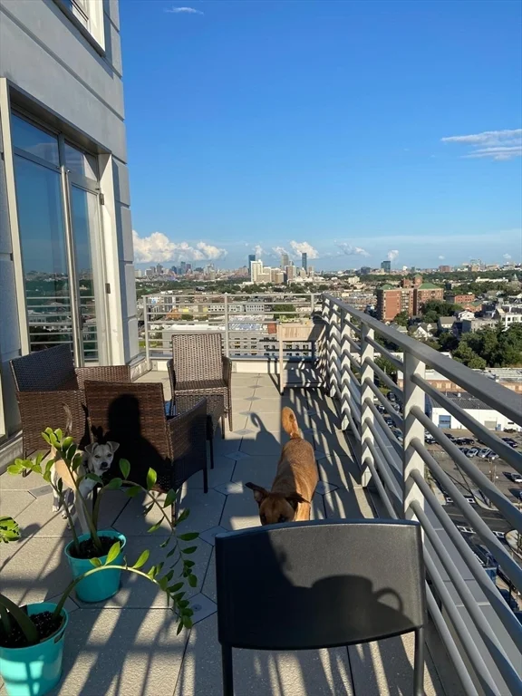 2 bed, 1 bath apartment for rent at 125 Guest St Unit 1703, Brighton — photo 25 of 38