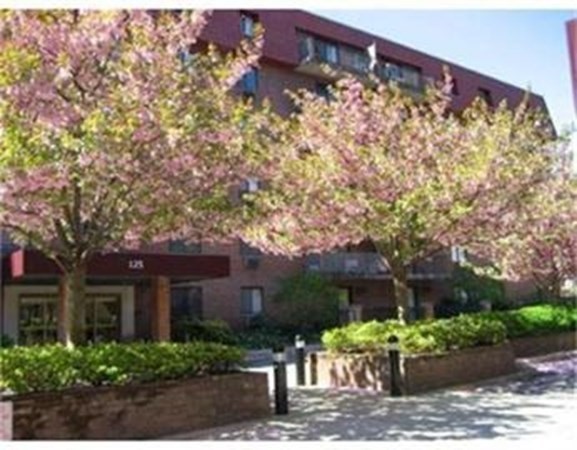 Studio bed, 1 bath apartment for rent at 125 Pleasant St Unit 101, Coolidge Corner