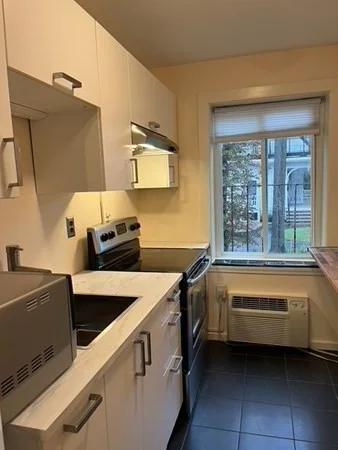 1 bed, 1 bath apartment for rent at 125 Pleasant St Unit 103, Arlington — photo 9 of 16