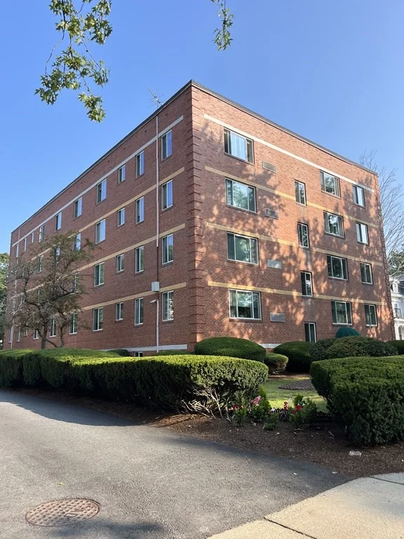1 bed, 1 bath apartment for rent at 125 Pleasant St Unit 103, Arlington — photo 1 of 16