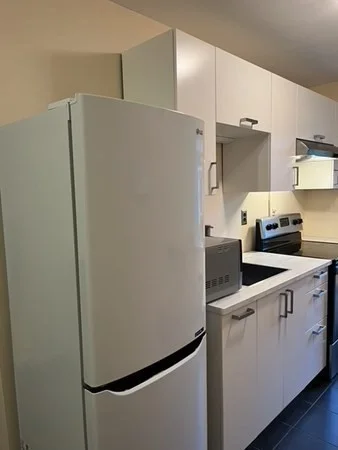 1 bed, 1 bath apartment for rent at 125 Pleasant St Unit 103, Arlington — photo 11 of 16