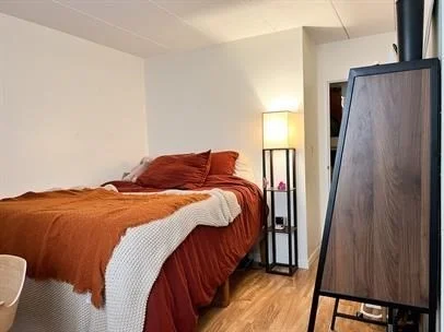 2 bed, 1 bath apartment for rent at 125 Pleasant St Unit 106, North Brookline — photo 5 of 7
