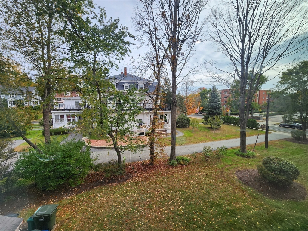 1 bed, 1 bath apartment for rent at 125 Pleasant St Unit 203, Arlington — photo 19 of 19