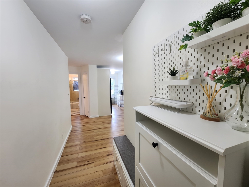1 bed, 1 bath apartment for rent at 125 Pleasant St Unit 203, Arlington — photo 6 of 19