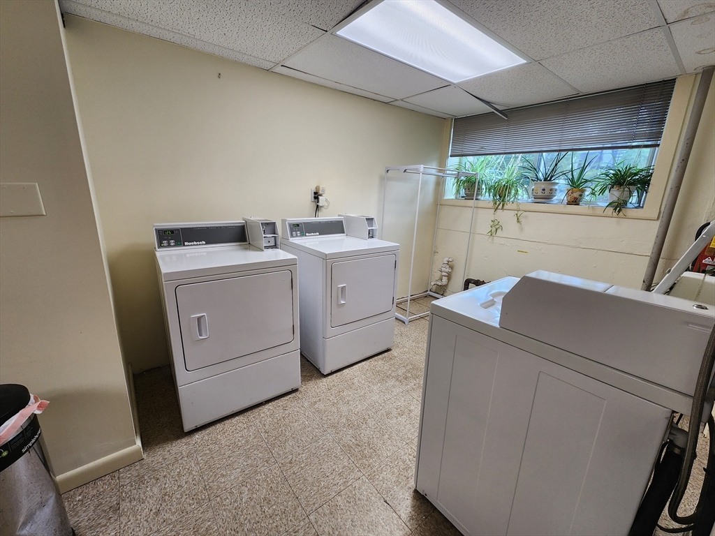 1 bed, 1 bath apartment for rent at 125 Pleasant St Unit 203, Arlington — photo 4 of 19