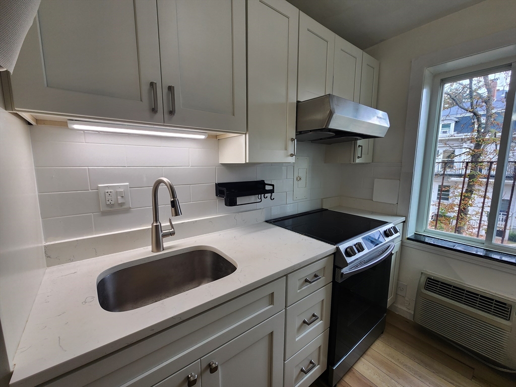 1 bed, 1 bath apartment for rent at 125 Pleasant St Unit 203, Arlington — photo 9 of 19