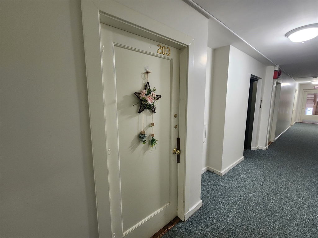1 bed, 1 bath apartment for rent at 125 Pleasant St Unit 203, Arlington — photo 5 of 19