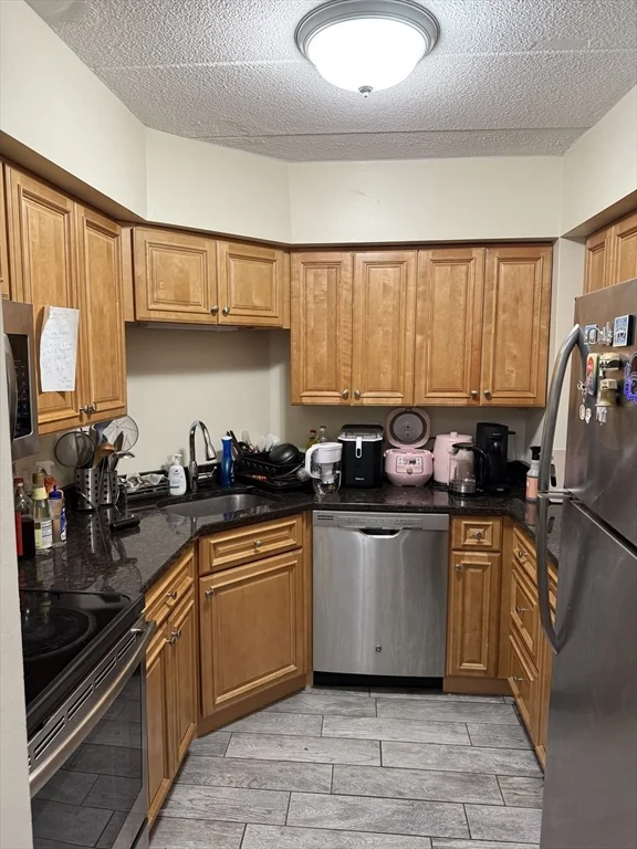 2 bed, 2 bath apartment for rent at 125 Pleasant St Unit 304, Coolidge Corner — photo 4 of 22