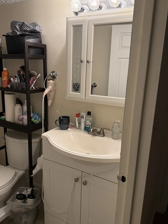 2 bed, 2 bath apartment for rent at 125 Pleasant St Unit 304, Coolidge Corner — photo 12 of 22