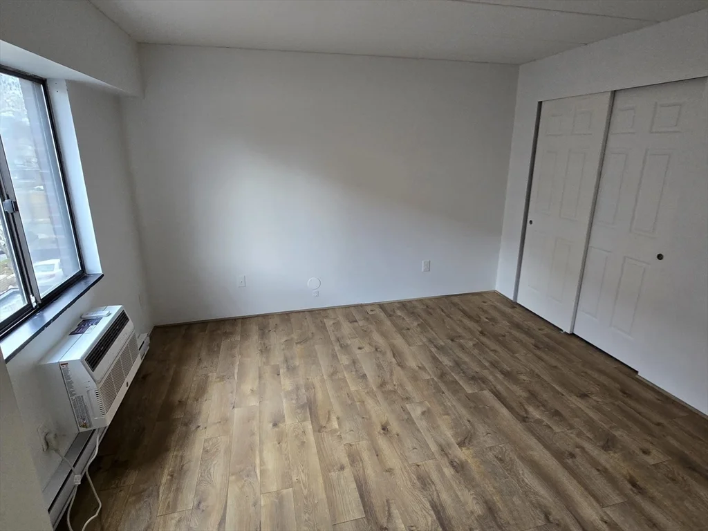 2 bed, 2 bath apartment for rent at 125 Pleasant St Unit 304, Coolidge Corner — photo 13 of 22
