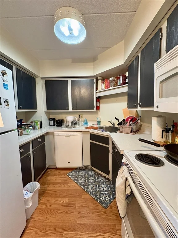 2 bed, 2 bath apartment for rent at 125 Pleasant St Unit 308, North Brookline — photo 8 of 14