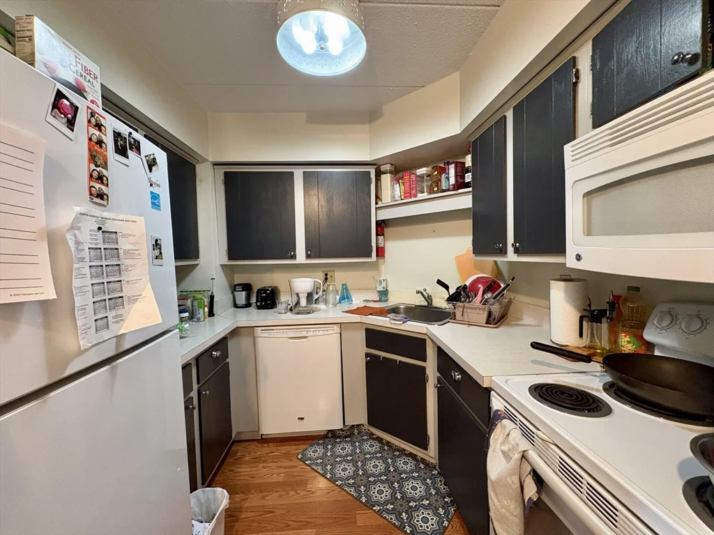 2 bed, 2 bath apartment for rent at 125 Pleasant St Unit 308, North Brookline — photo 7 of 14