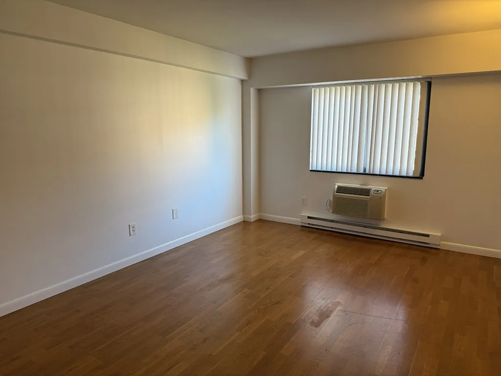 2 bed, 2 bath apartment for rent at 125 Pleasant St Unit 401, Coolidge Corner — photo 12 of 20