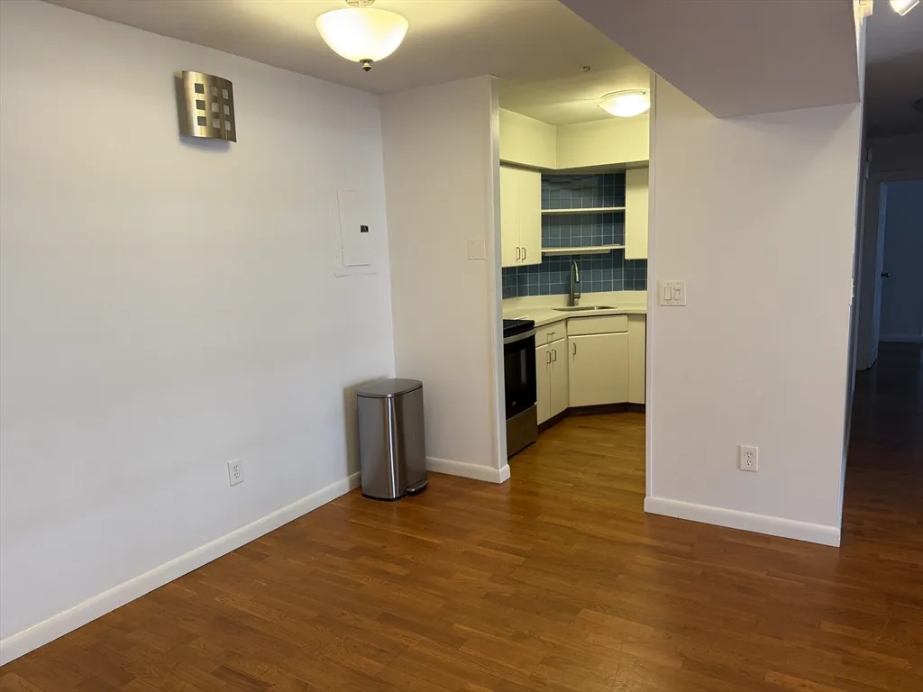 2 bed, 2 bath apartment for rent at 125 Pleasant St Unit 401, Coolidge Corner — photo 10 of 20