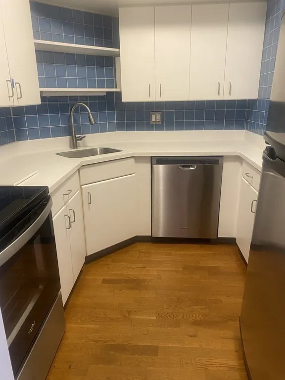 2 bed, 2 bath apartment for rent at 125 Pleasant St Unit 401, Coolidge Corner — photo 6 of 20