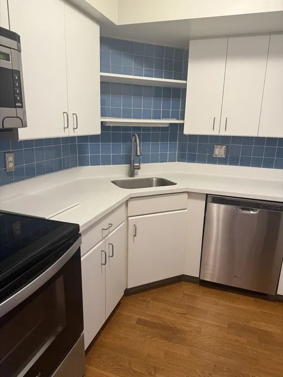 2 bed, 2 bath apartment for rent at 125 Pleasant St Unit 401, Coolidge Corner — photo 3 of 20
