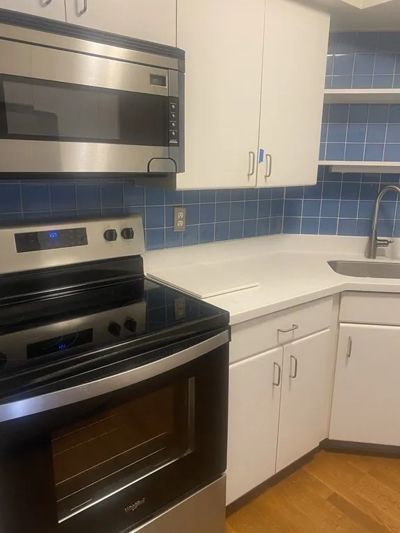 2 bed, 2 bath apartment for rent at 125 Pleasant St Unit 401, Coolidge Corner — photo 4 of 20