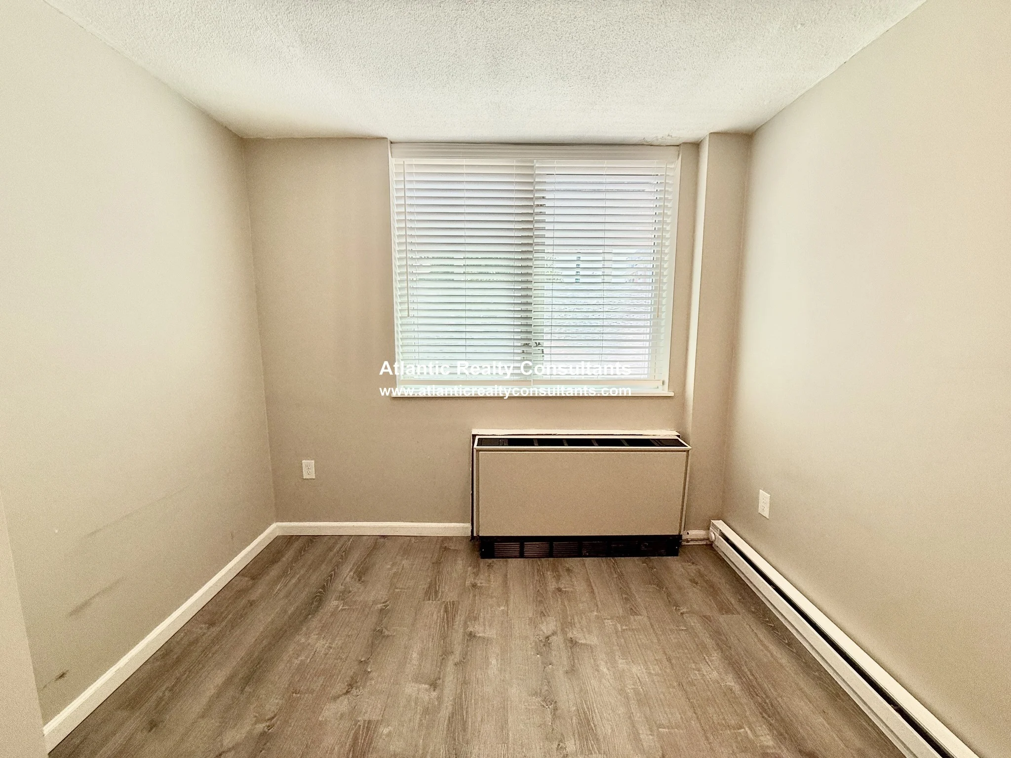 Studio bed, 1 bath apartment for rent at 125 Trapelo Rd Unit 101, Belmont — photo 6 of 11