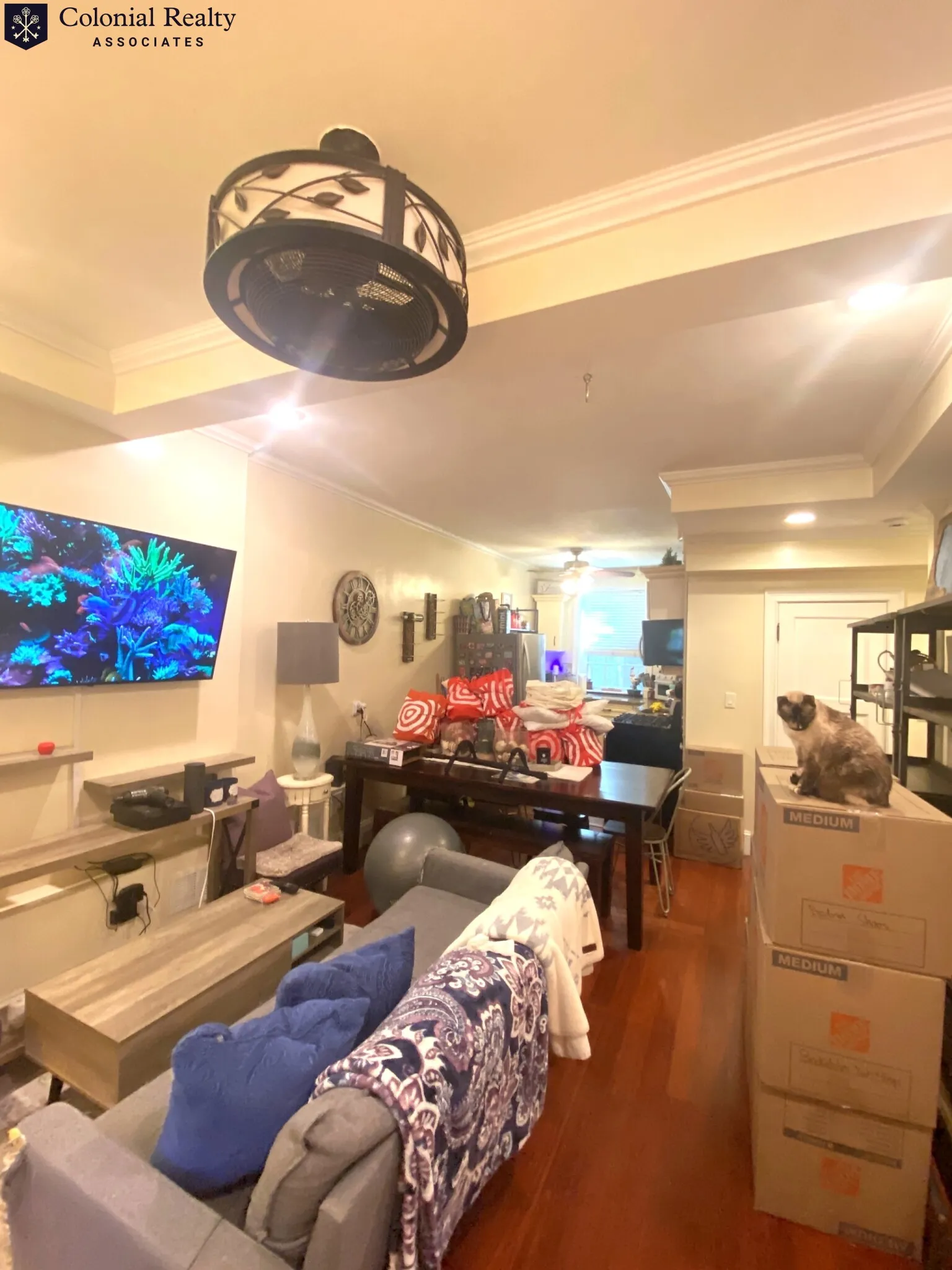 2 bed, 1 bath apartment for rent at 1253 Beacon St Unit 3Bb, Coolidge Corner — photo 2 of 18
